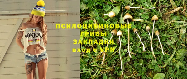 мдпв Новокубанск