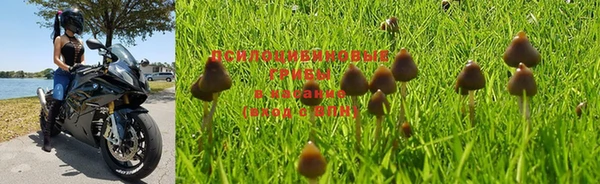 mix Нея
