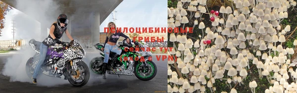 мдпв Новокубанск