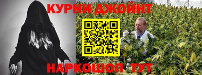 прущие грибы Абинск
