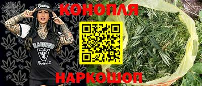 ешки Абакан