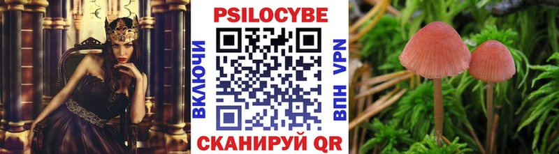 Галлюциногенные грибы прущие грибы  купить наркоту  Солнечногорск 