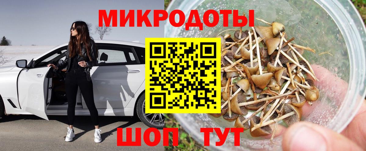 Солнечногорск  хочу наркоту  Галлюциногенные грибы мицелий  Вход с VPN  Галлюциногенные грибы Psilocybine cubensis 